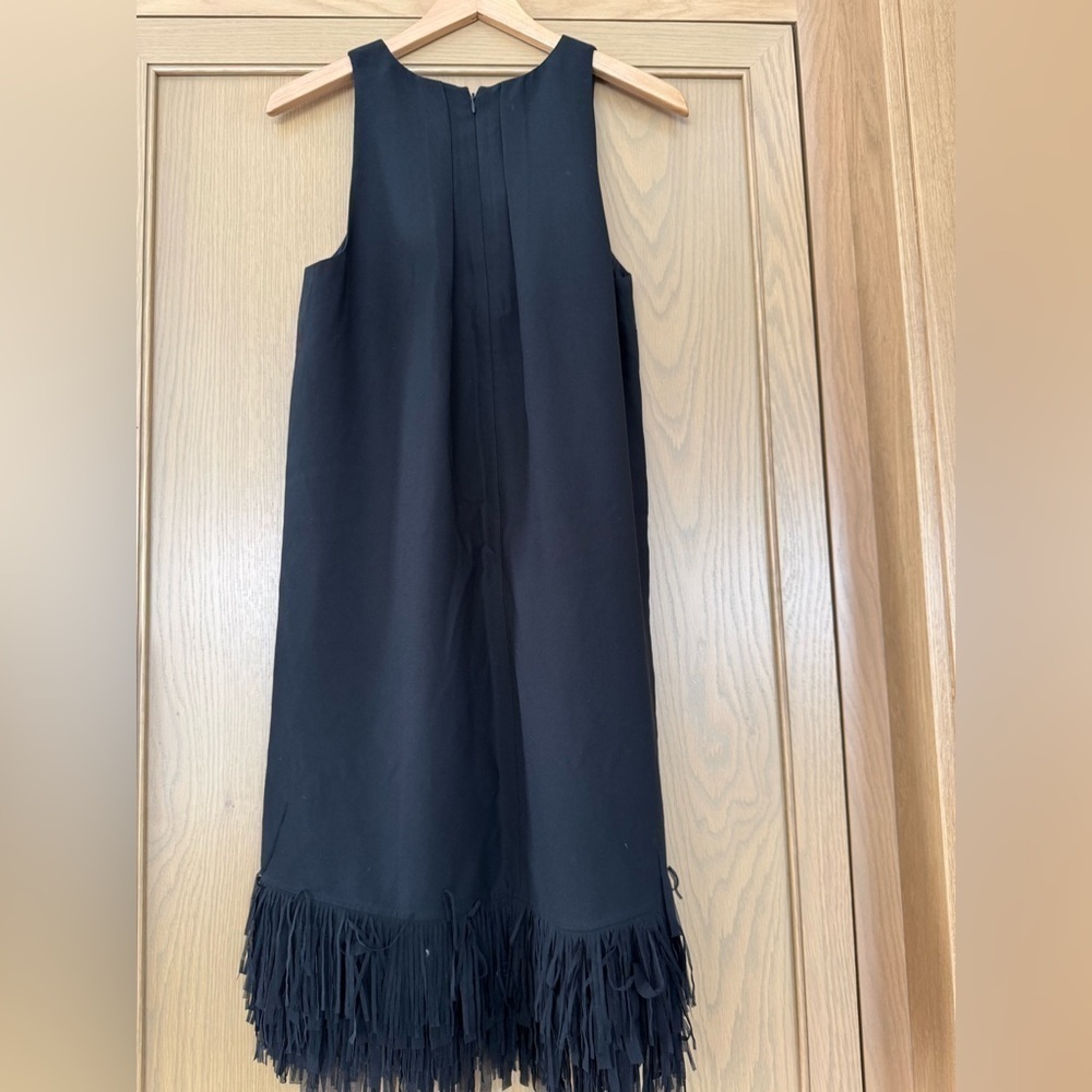 Banana Republic Sleeveless Pleated Back Black Dress Fringe Hemline / 8 - Picture 5 of 12